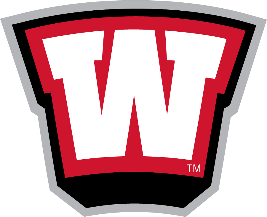 Western Kentucky Hilltoppers 2001-2006 Wordmark Logo DIY iron on transfer (heat transfer)